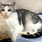 Thumbnail of related posts 087